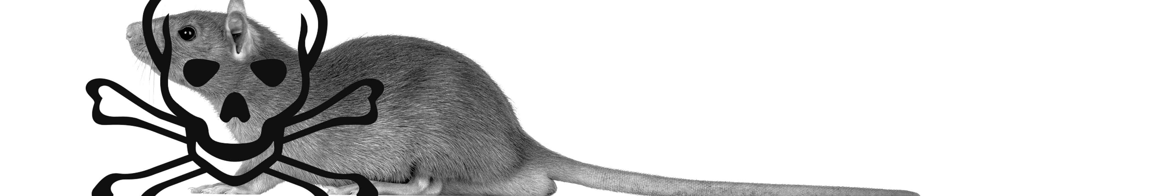 81d49133b37871b10c05fb234dfd37277813eeb8