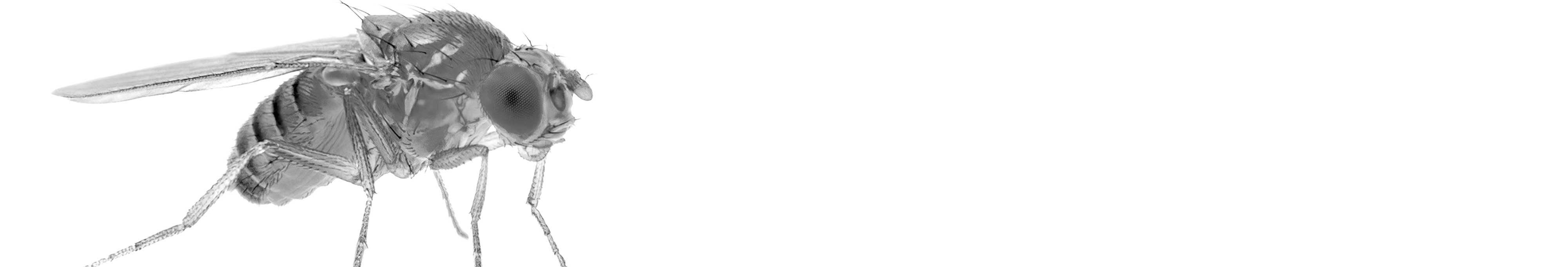 e8ec9b515dc508eb141ae8c8ddb5a35238f5483b