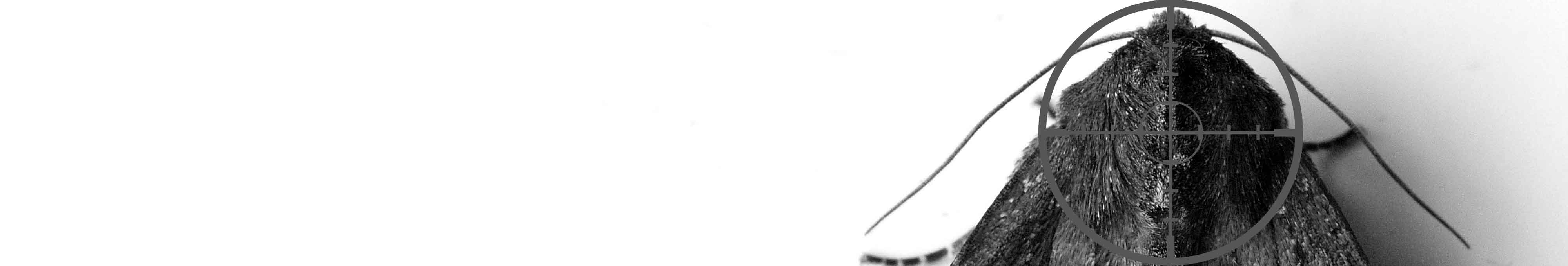 2823477e05811cdb490542c17461268d17f7c92a