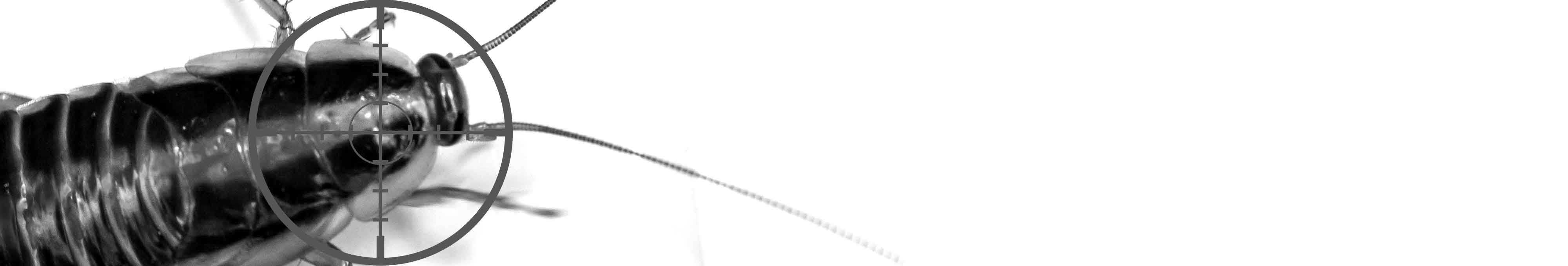 6e8897e73b04209174742b47291c947d04c0d5d8