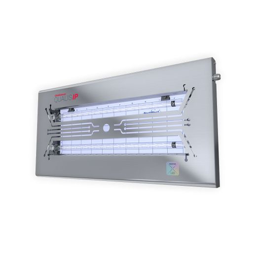 CHAMELEON QUALIS (IP)