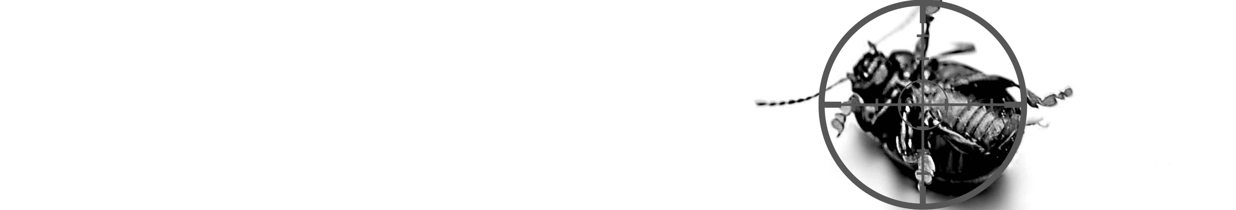 88ef21feb863bd1472879c5ed78eb4406cc4273c