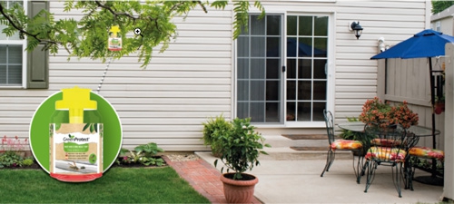 Wespenfalle Green Protect