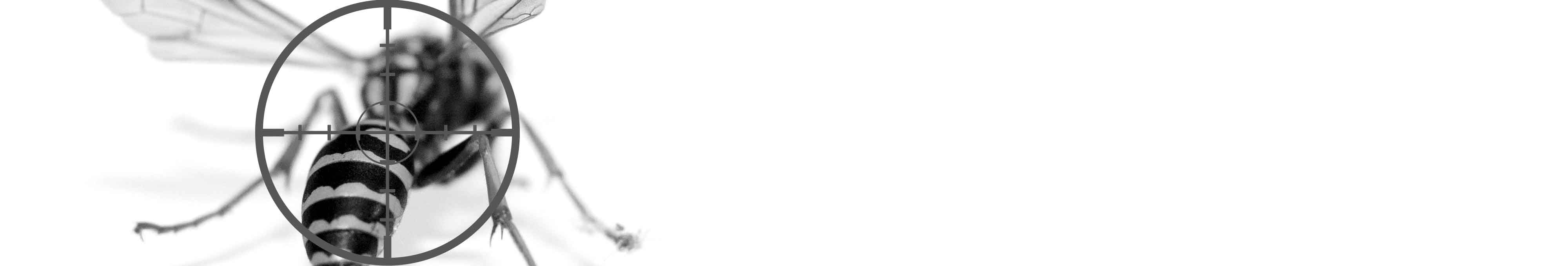 51c059b05366cb24544bde63d2a2682394197417