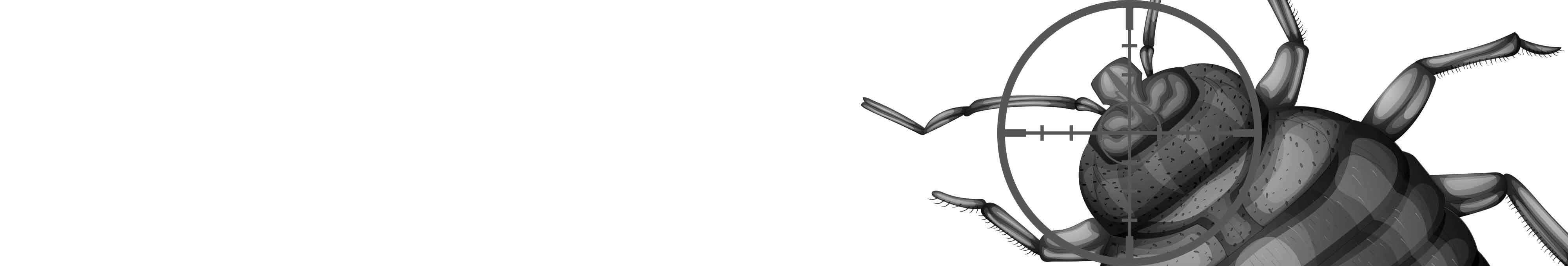 27818660735106b686035a55b4dd8cdd6e49bbac