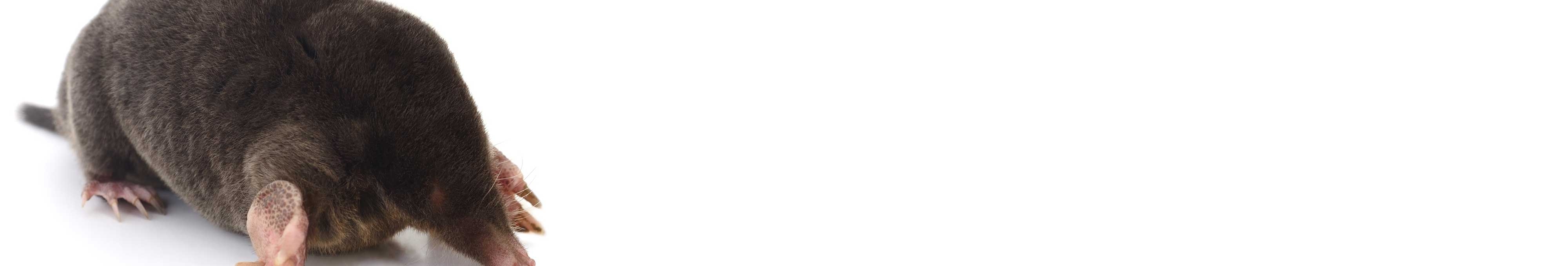 f6e1f443c918dc21555b66d3c1a356526e66109c