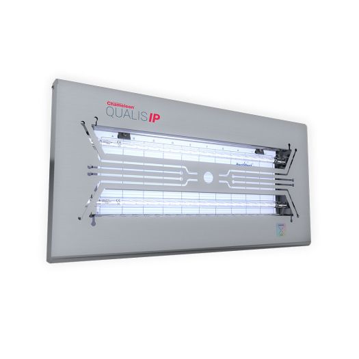 CHAMELEON QUALIS (IP)