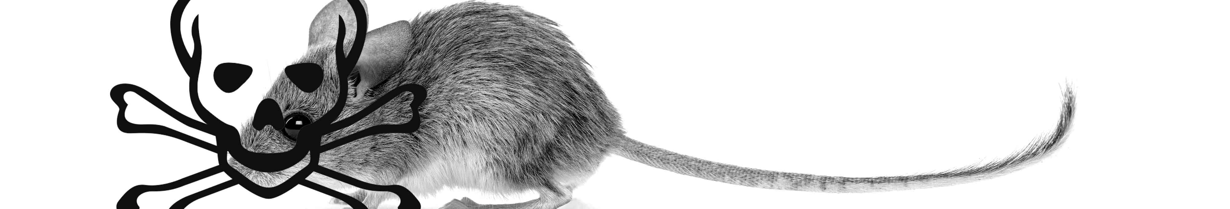 f38b20cabfe28ab9827e6ac6870bacdb46e3b506