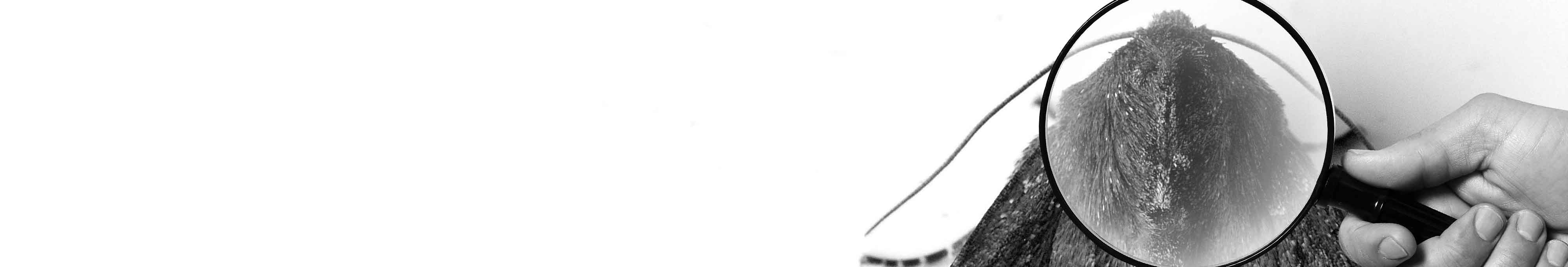 34e2acd8d73539e5b955798e2b6112e8dc2c517b