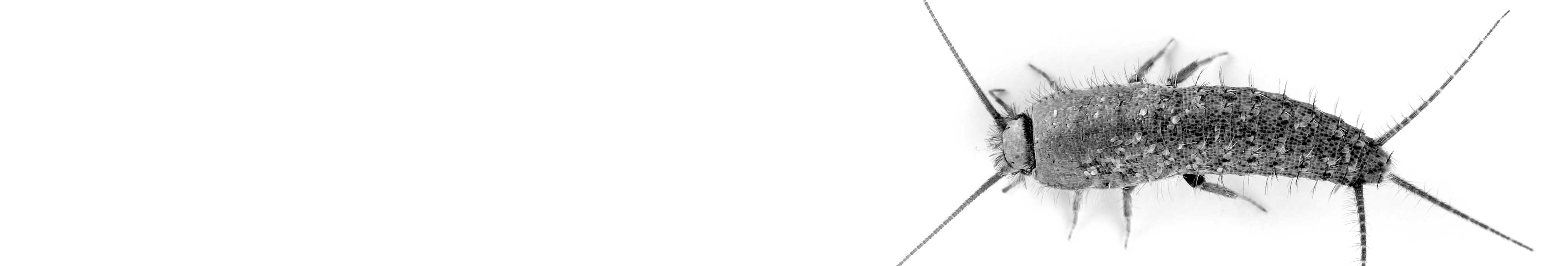 70905ab0355926849187580220af28da96ffee49