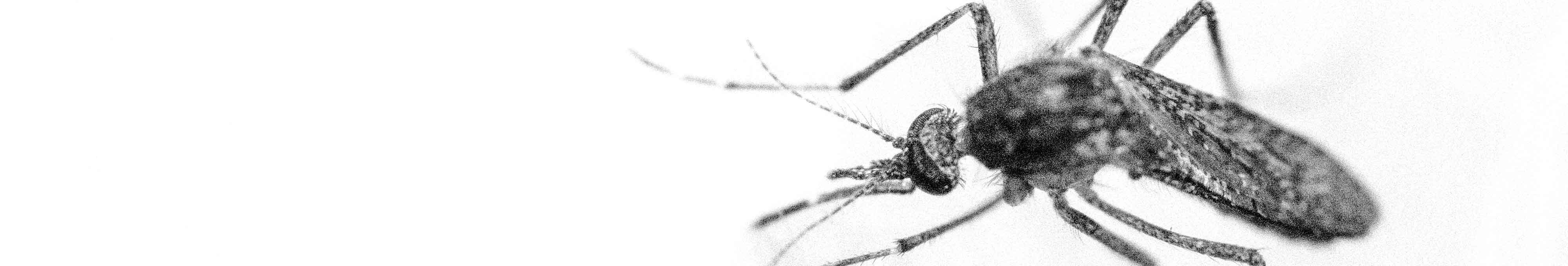 7eb72d2cb2c7fa4af5467cf2e2474a7a55756689