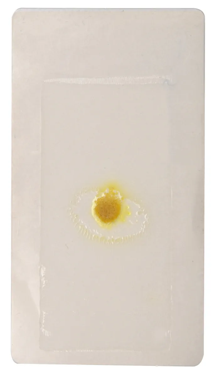 Klebeboden Kunststoff transparent lang mit Lockstoff (Schabe)