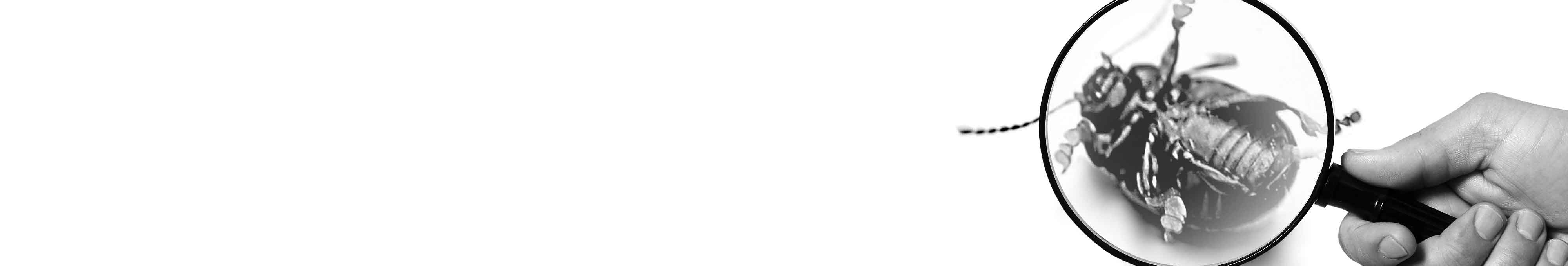 0234a6a00f228511a396e6d41f26c0ec0fa0d7a0