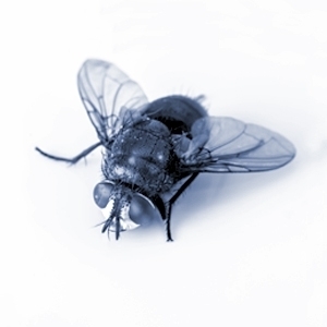 da37cb79065e3f729c149f48e050466280cea293