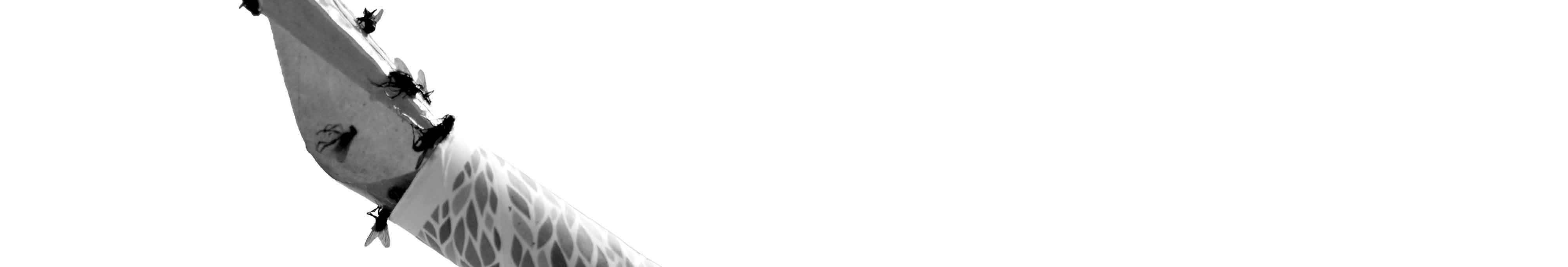 6a418a2507b1fa742a6f194f2c1b562a2fa8f600