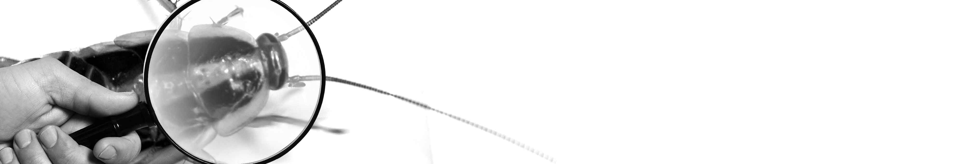 6c918ceba323f2b778c9ebb58418a3b9222020ed